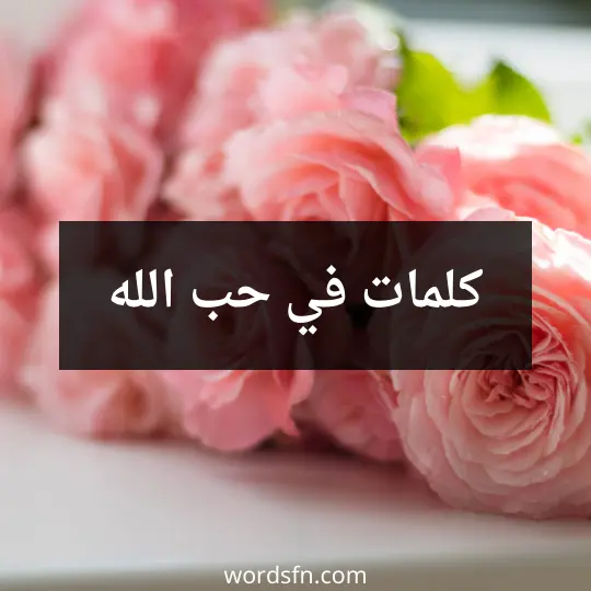 كلمات في حب الله