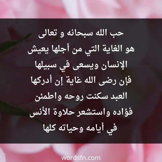 حب الله سبحانه و تعالى هو الغاية التي من أجلها يعيش الإنسان ويسعى في سبيلها، فإن رضى الله غاية إن أدركها العبد سكنت روحه واطمئن فؤاده، واستشعر حلاوة الأنس في أيامه وحياته كلها