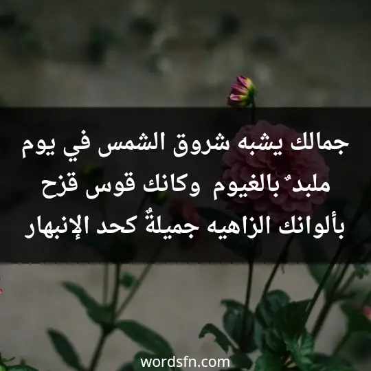 جمالك يشبه شروق الشمس في يوم ملبد ٌ بالغيوم ، وكانك قوس قزح بألوانك الزاهيه ،جميلةٌ كحد الإنبهار