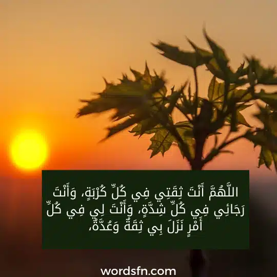 للَّهُمَّ أَنْتَ ثِقَتِي فِي كُلِّ كُرْبَةٍ، وَأَنْتَ رَجَائِي فِي كُلِّ شِدَّةٍ، وَأَنْتَ لِي فِي كُلِّ أَمْرٍ نَزَلَ بِي ثِقَةٌ وَعُدَّةٌ - فن العبارات للَّهُمَّ أَنْتَ ثِقَتِي فِي كُلِّ كُرْبَةٍ، وَأَنْتَ رَجَائِي فِي كُلِّ شِدَّةٍ، وَأَنْتَ لِي فِي كُلِّ أَمْرٍ نَزَلَ بِي ثِقَةٌ وَعُدَّةٌ