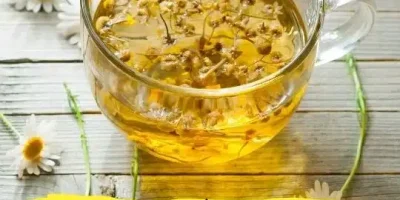 فوائد عشبة بابونج