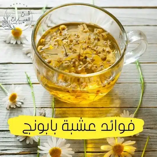 عشبة بابونج 