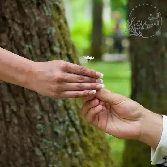 ستوريات شوق