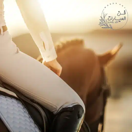 قصص واقعية عن القضاء والقدر - فن العبارات قصص واقعية عن القضاء والقدر