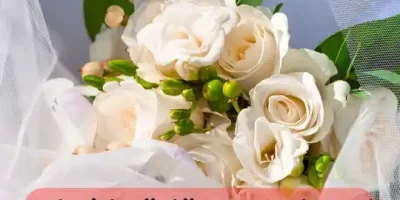 اجمل بوستات افراح احلى بوستات افراح بوستات افراح جامدة