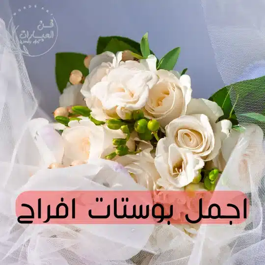 اجمل بوستات افراح