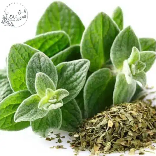 فوائد عشبة البردقوش - فن العبارات فوائد عشبة البردقوش