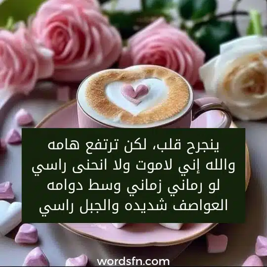 ينجرح قلب، لكن ترتفع هامه والله إني لاموت ولا انحنى راسي لو رماني زماني وسط دوامه العواصف شديده والجبل راسي - فن العبارات ينجرح قلب، لكن ترتفع هامه والله إني لاموت ولا انحنى راسي لو رماني زماني وسط دوامه العواصف شديده والجبل راسي