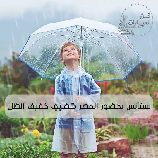 بيسيات مطر وحب