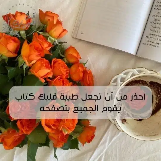 اقتباسات لطيفة قصيرة عميقة اقتباسات جميلة قصيرة ناعمة اقتباسات ناعمة