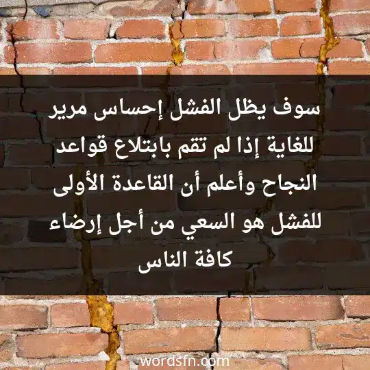 سوف يظل الفشل إحساس مرير للغاية إذا لم تقم بابتلاع قواعد النجاح وأعلم أن القاعدة الأولى للفشل هو السعي من أجل إرضاء كافة الناس