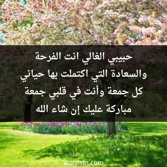 رسائل يوم الجمعة للحبيب رومانسية رسائل دعاء يوم الجمعة حبيبي الغالي انت الفرحة والسعادة التي اكتملت بها حياني. كل جمعة وأنت في قلبي جمعة مباركة عليك إن شاء الله