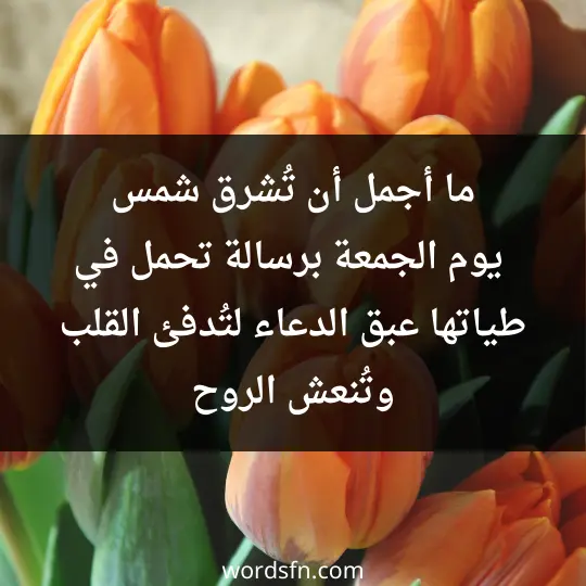 رسائل صباحية يوم الجمعة رسائل صباحية اسلامية يوم الجمعة ما أجمل أن تُشرق شمس يوم الجمعة برسالة تحمل في طياتها عبق الدعاء، لتُدفئ القلب وتُنعش الروح