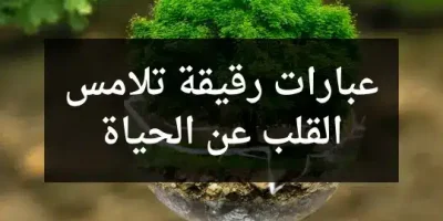 عبارات رقيقة تلامس القلب عن الحياة