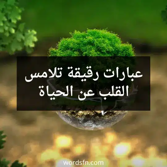 عبارات رقيقة تلامس القلب عن الحياة