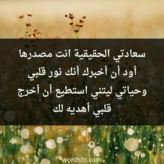 سعادتي الحقيقية انت مصدرها أود أن أخبرك أنك نور قلبي وحياتي ليتني استطيع أن أخرج قلبي أهديه لك