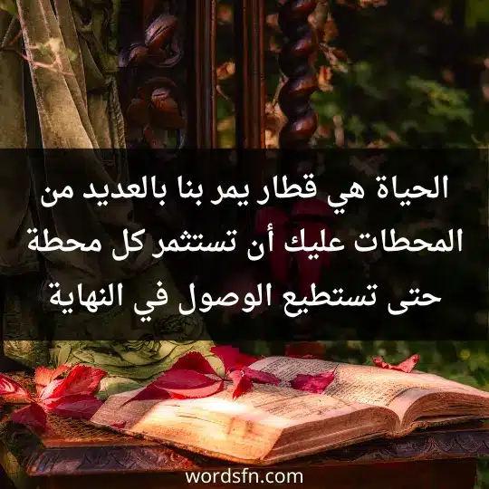 الحياة هي قطار يمر بنا بالعديد من المحطات، عليك أن تستثمر كل محطة حتى تستطيع الوصول في النهاية