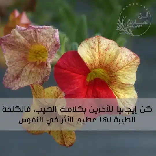 عبارات واقتباسات جميلة