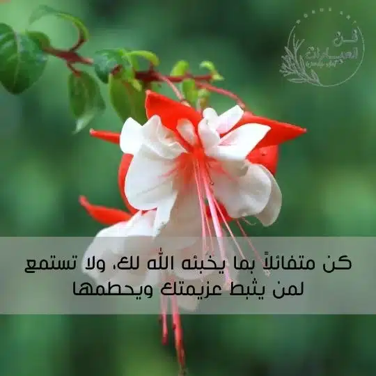 اقتباسات عبارات عميقة قصيرة