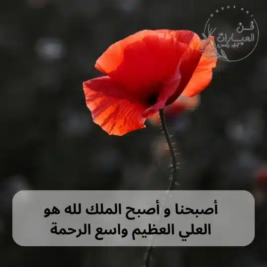 اصبحنا واصبح الملك لله هو العلي العظيم واسع الحرمه