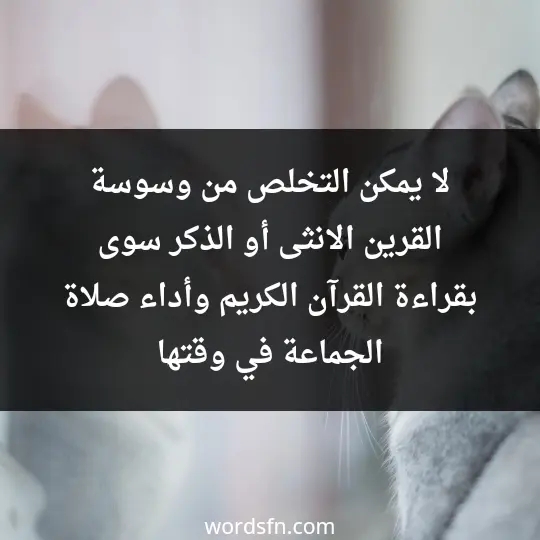 لا يمكن التخلص من وسوسة القرين الانثى أو الذكر سوى بقراءة القرآن الكريم وأداء صلاة الجماعة في وقتها