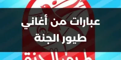 عبارات من أغاني طيور الجنة
