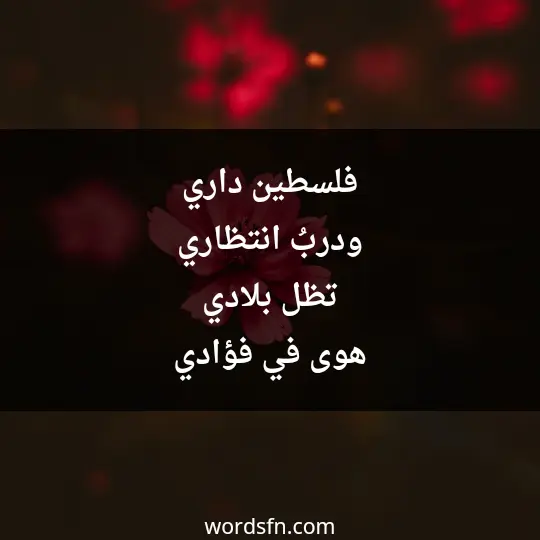 فلسطين داري ودربُ انتظاري تظل بلادي هوى في فؤادي