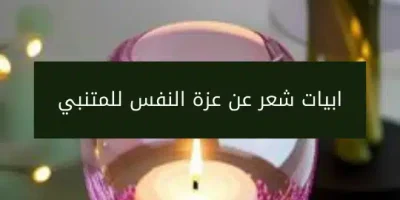 ابيات شعر عن عزة النفس للمتنبي