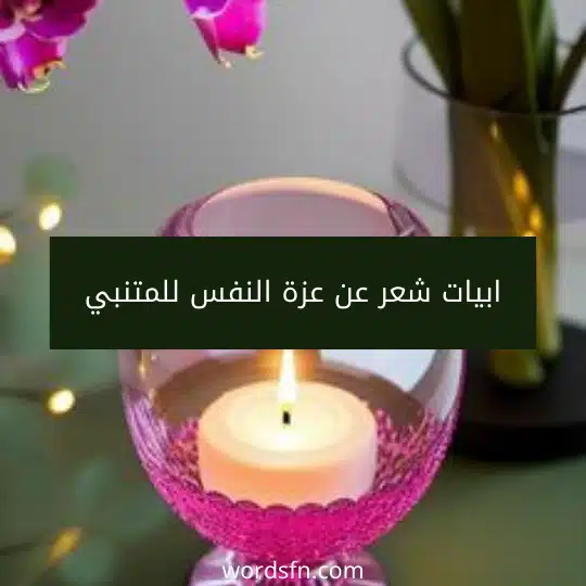 ابيات شعر عن عزة النفس للمتنبي