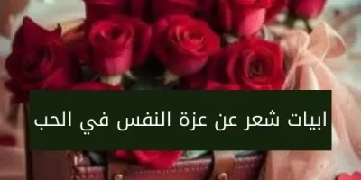 ابيات شعر عن عزة النفس في الحب