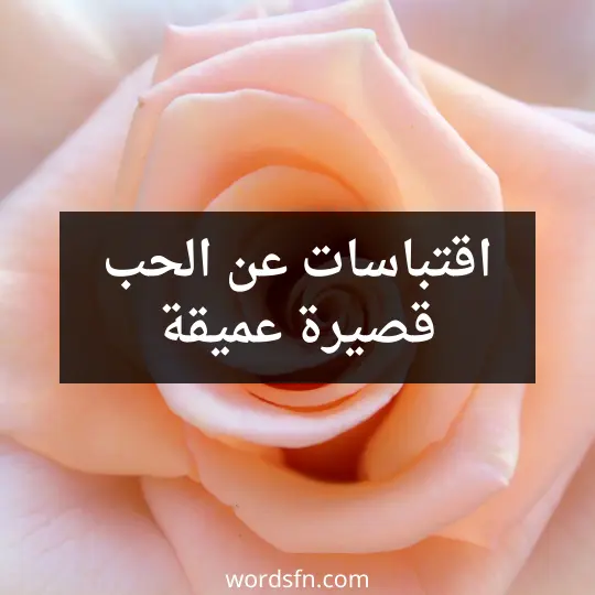 اقتباسات عن الحب قصيرة عميقة