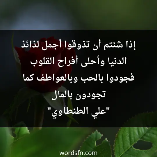 إذا شئتم أن تذوقوا أجمل لذائذ الدنيا، وأحلى أفراح القلوب، فجودوا بالحب وبالعواطف كما تجودون بالمال. _علي الطنطاوي