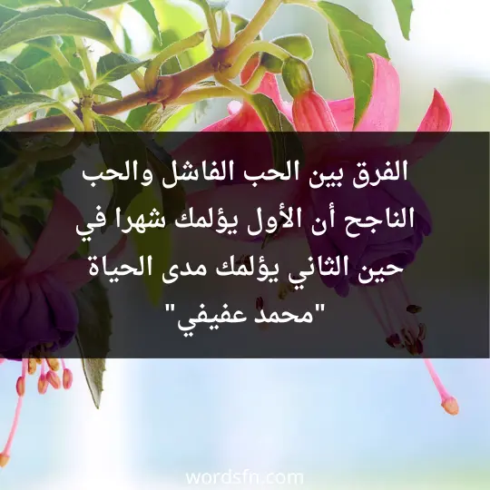 الفرق بين الحب الفاشل والحب الناجح، أن الأول يؤلمك شهرا، في حين الثاني يؤلمك مدى الحياة. _محمد عفيفي