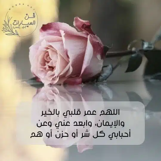 حالات دينية مؤثرة