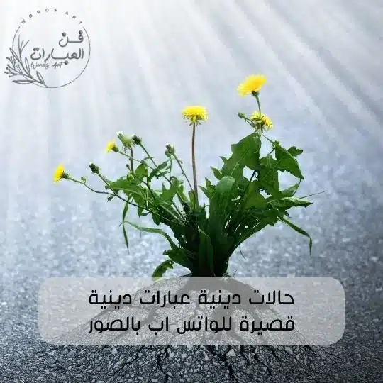 حالات دينية عبارات دينية قصيرة للواتس اب بالصور