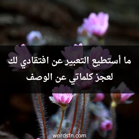ما أستطيع التعبير عن افتقادي لك لعجز كلماتي عن الوصف