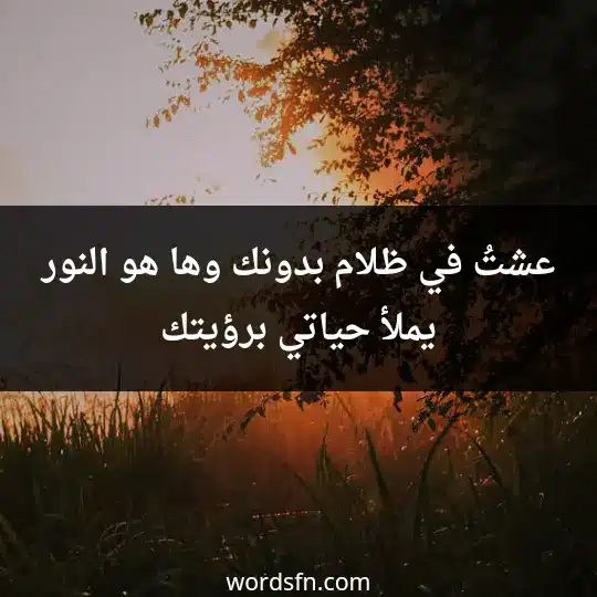 عشتُ في ظلام بدونك، وها هو النور يملأ حياتي برؤيتك