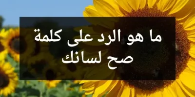 ما هو الرد على كلمة صح لسانك