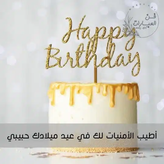 بيسيات عيد ميلاد حبيبي