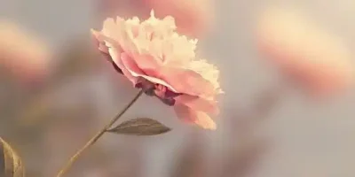 اقتباسات عبارات عميقة قصيرة