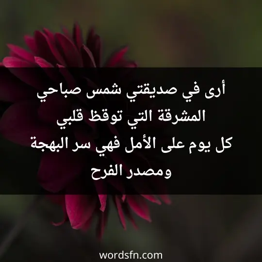 شعر عن الصداقة قصير للبنات ابيات شعر عن الصداقة روعه أرى في صديقتي شمس صباحي المشرقة التي توقظ قلبي كل يوم على الأمل. فهي سر البهجة ومصدر الفرح
