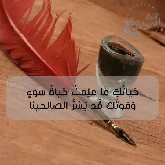 أجمل ما قاله الحطيئة