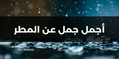 أجمل جمل عن المطر