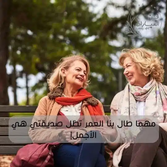 جمل جميلة عن الصداقة