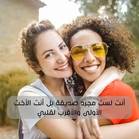 جمل عن الصداقة