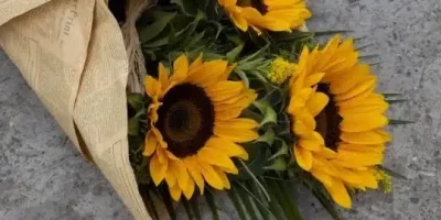 ماهو الرد على كلمة معوض خير