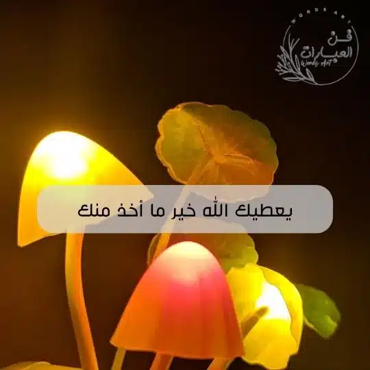 ماهو الرد على كلمة معوض خير ان شاء الله كيف أرد على معوض خير يعطيك الله خير ما اخذ منك