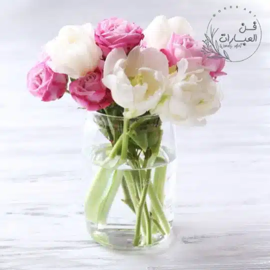 ماهو الرد على كلمة معوض خير ان شاء الله كيف أرد على معوض خير ماهو الرد على كلمة معوض خير