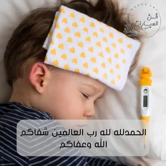 الرد على الف لا باس طهور