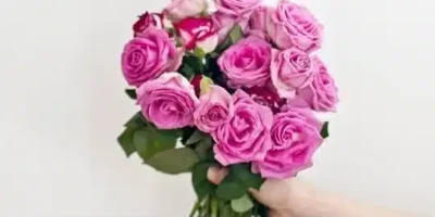 ماهو الرد على كلمة قواك الله